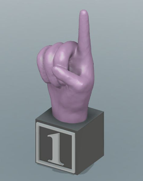 Large 3D Printed ABC & # America Sign Language Blocks