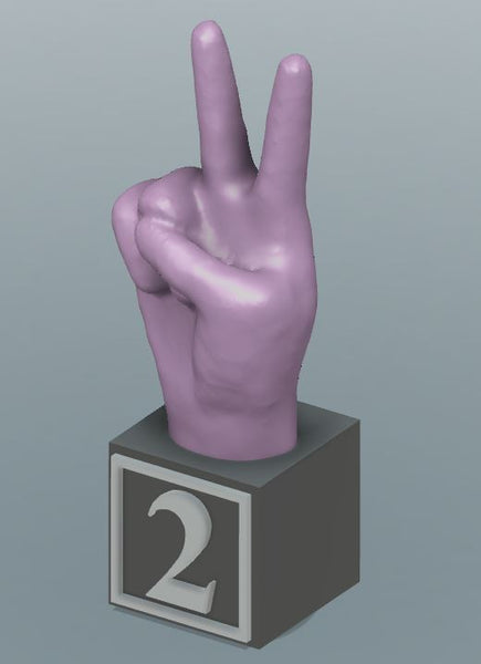 Large 3D Printed ABC & # America Sign Language Blocks