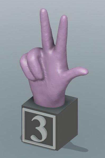 Large 3D Printed ABC & # America Sign Language Blocks