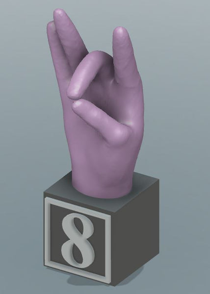 Large 3D Printed ABC & # America Sign Language Blocks