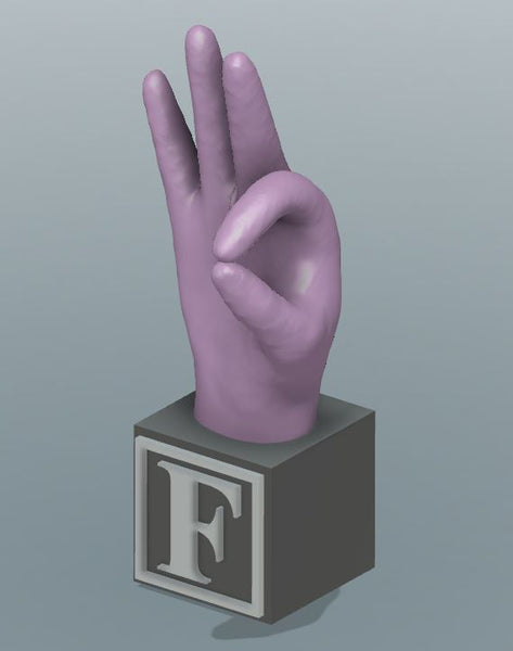 Large 3D Printed ABC & # America Sign Language Blocks