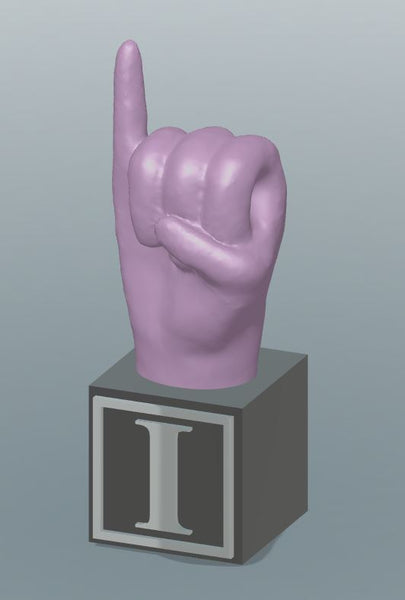 Large 3D Printed ABC & # America Sign Language Blocks