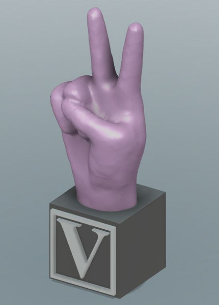 Large 3D Printed ABC & # America Sign Language Blocks