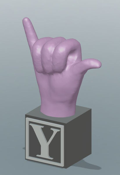 Large 3D Printed ABC & # America Sign Language Blocks